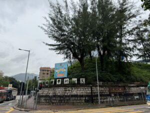 九龍城區幼稚園2025懶人包｜精選九龍塘及九龍城區幼稚園名單及熱門選擇